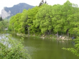 Смолянски езера